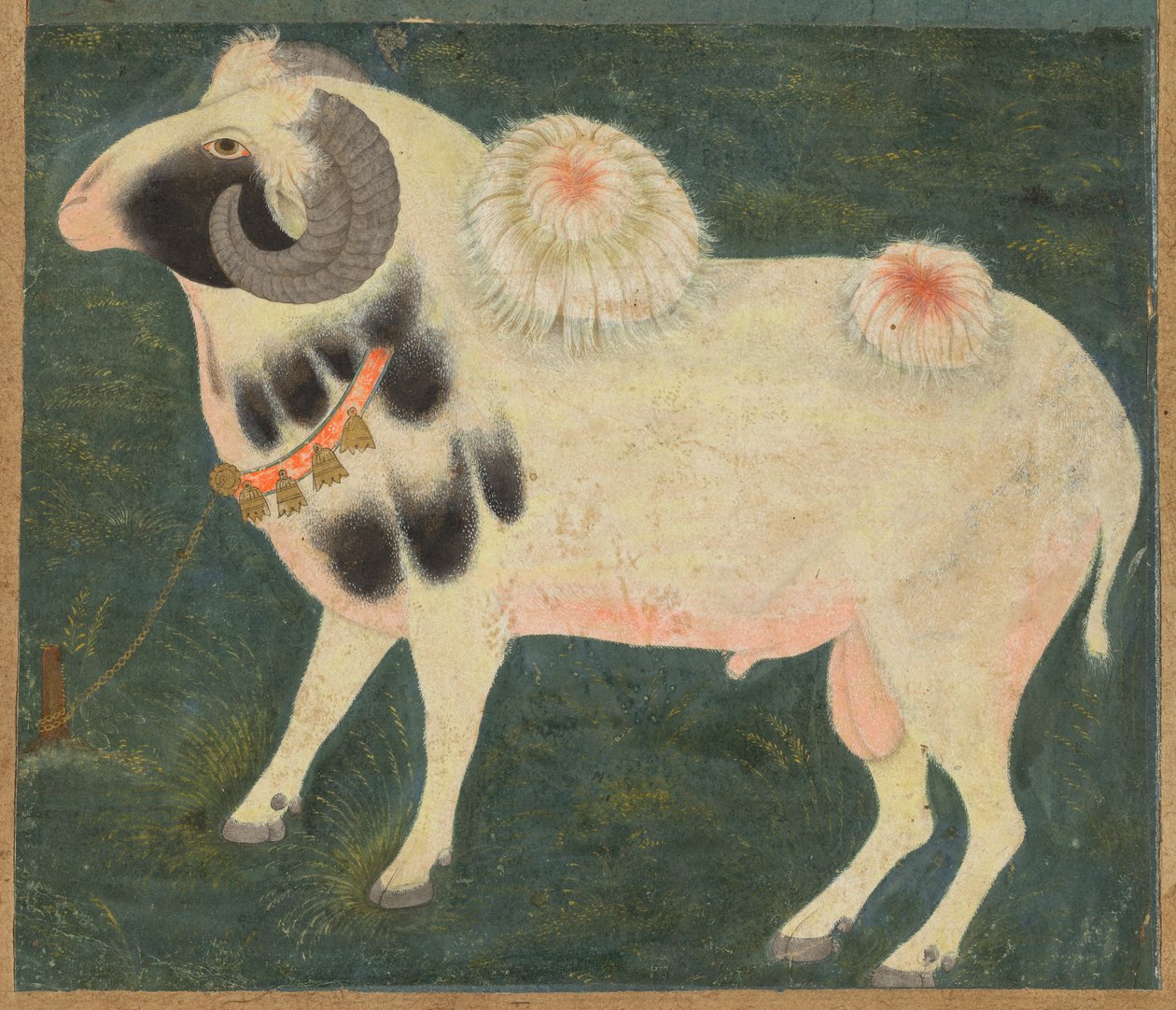 Een koninklijke ram met een gouden ketting, c. 1585 door Indian School