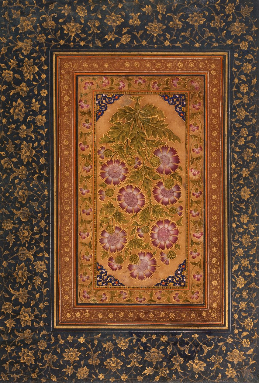 Albumblad met Stokesia en portret van Abdul Rahim Khan-e Khanna, c.1800 door Indian School