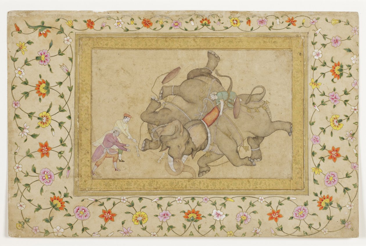 Een olifantengevecht, met florale arabeskenrand, c.1610 door Indian School