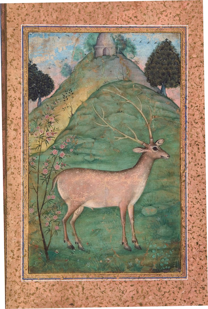 Hert in een landschap, c.1595 door Indian School