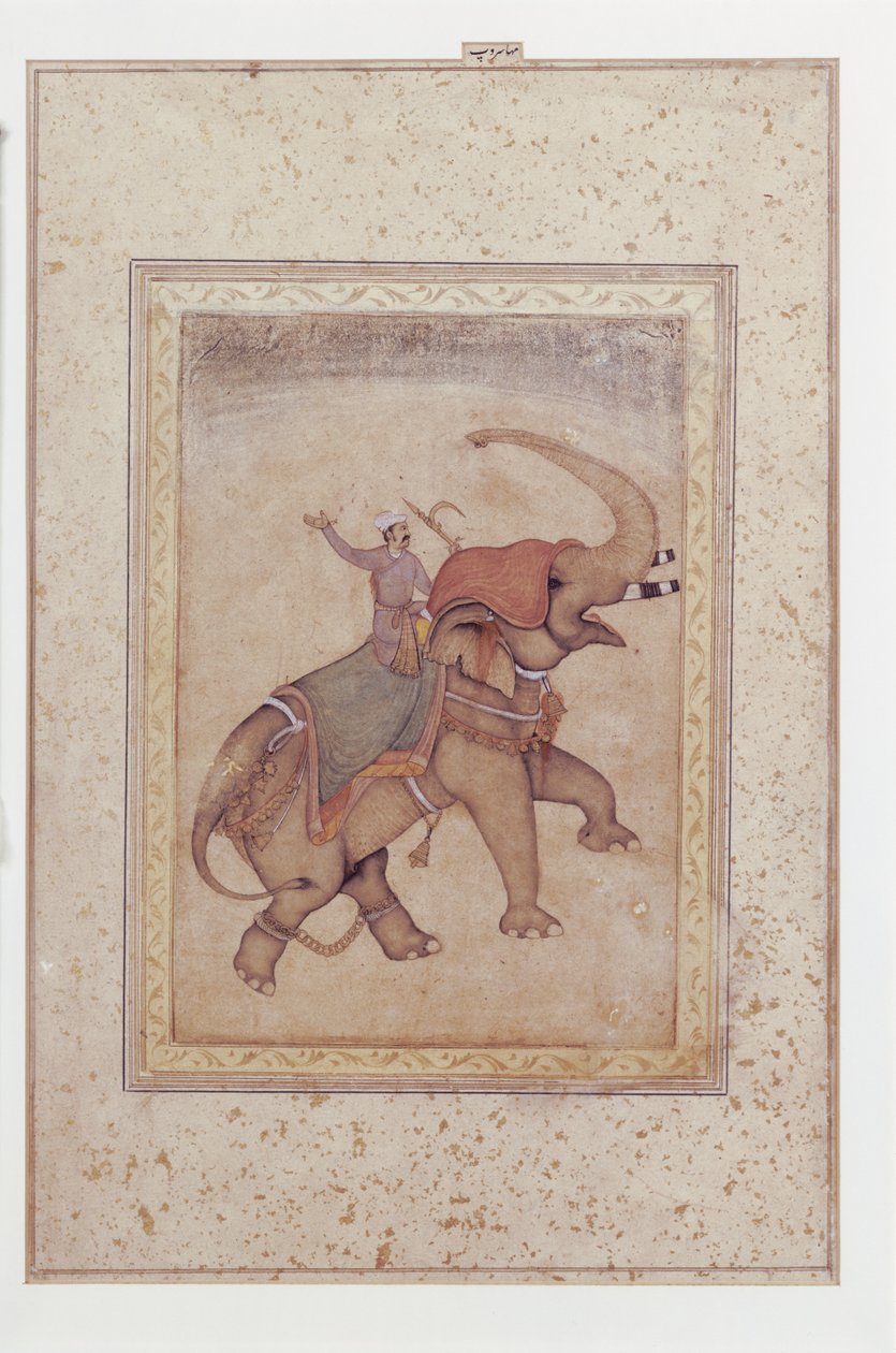 Olifant en mahout (olifantendrijver), ca.
1595-1600 (Dekkende aquarel, inkt en goud op papier) door Indian School