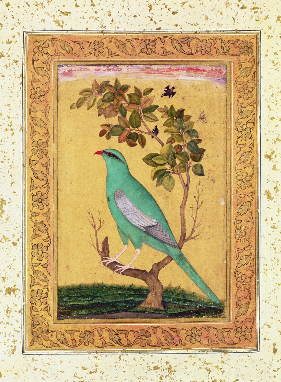 Groene Vogel, Mughal door Indian School