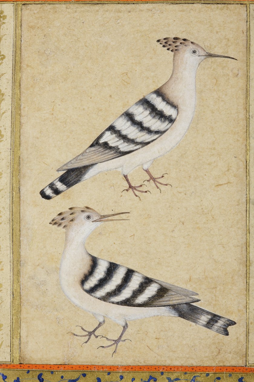 Hoppen, c.1590 door Indian School