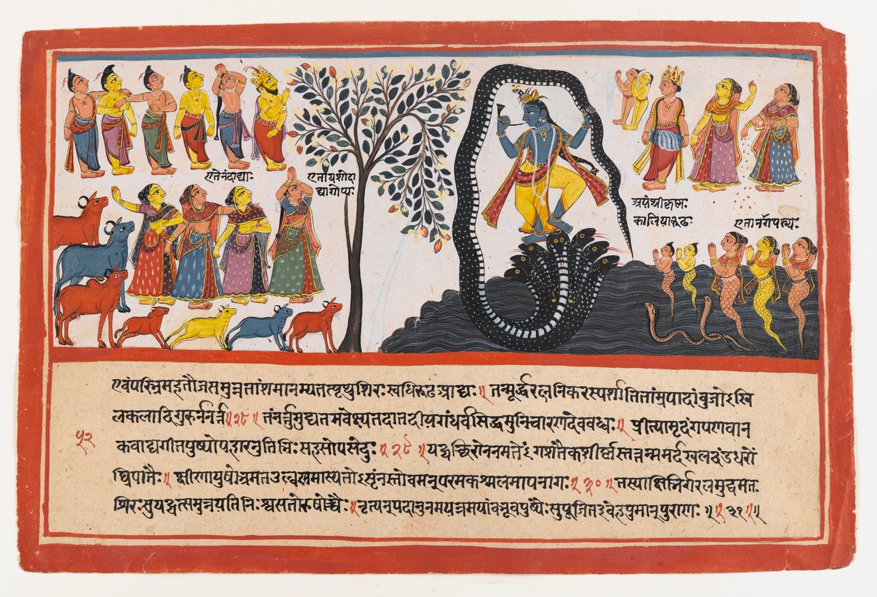 Krishna overwint de slang Kaliya, pagina uit een verspreide Bhagavata Purana-serie door Indian School