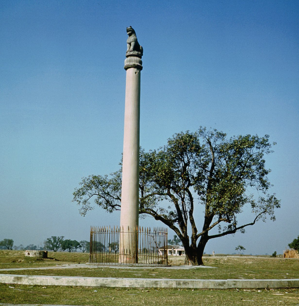 Leeuwenpilaar van keizer Ashoka, ca.264-223 v.Chr. door Indian School