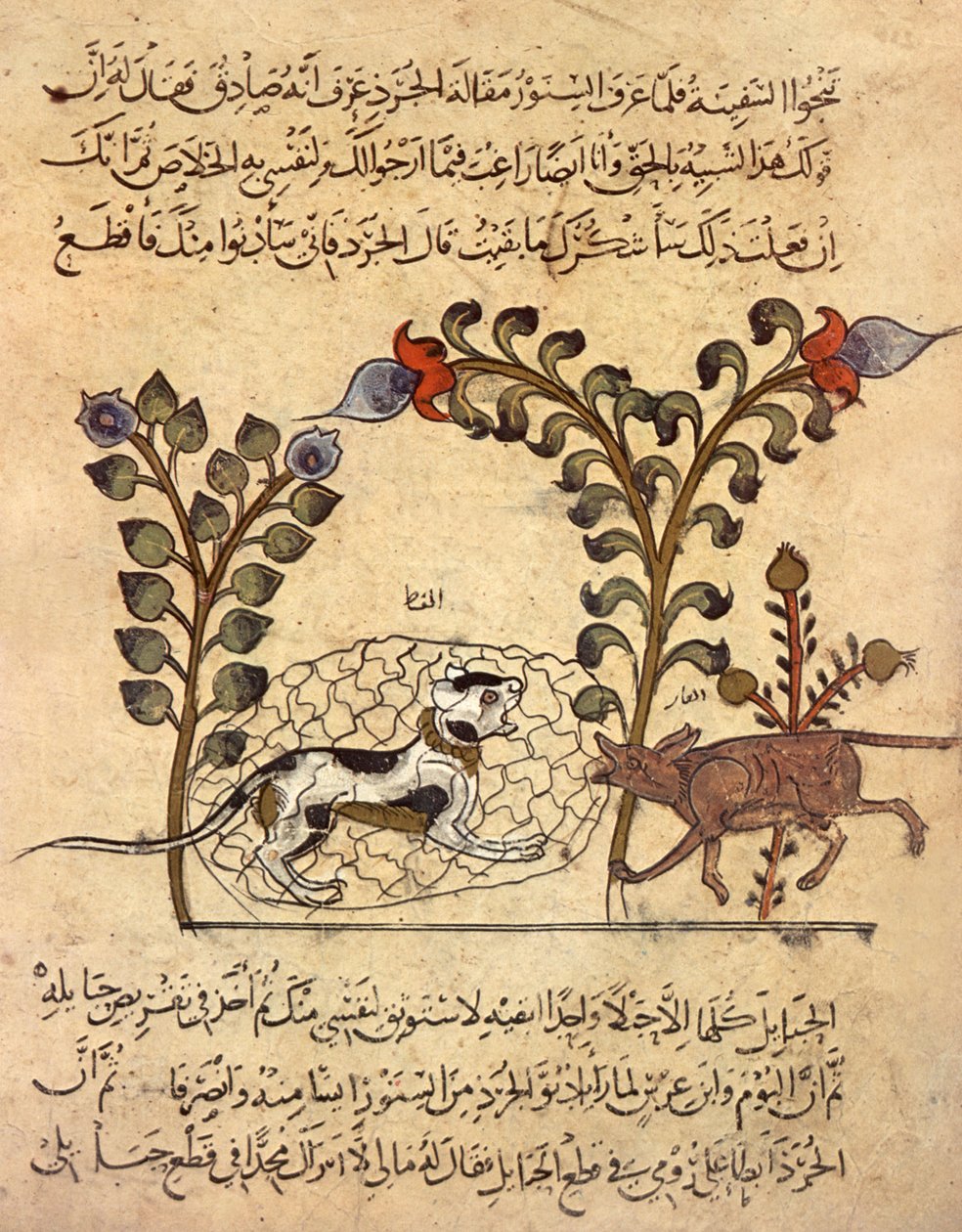 De kat en de rat, Arabische miniatuur uit 