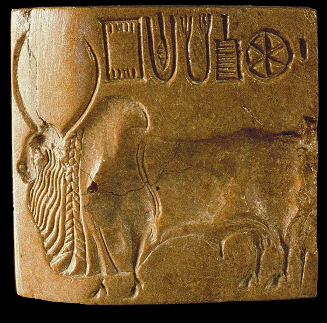 Zebu stier zegel met Indus schrift gevonden in Mohenjo Daro, Indusvallei, 3e millennium v.Chr. door Indus Valley Civilisation.