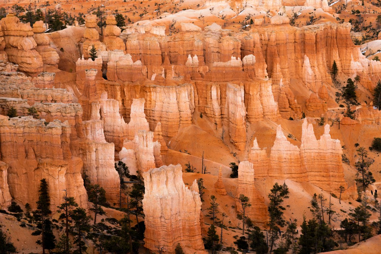 Hoodoos - torenspitsen gecreëerd door erosie - in Bryce Canyon National Park in Utah, 2019 door Ira Block