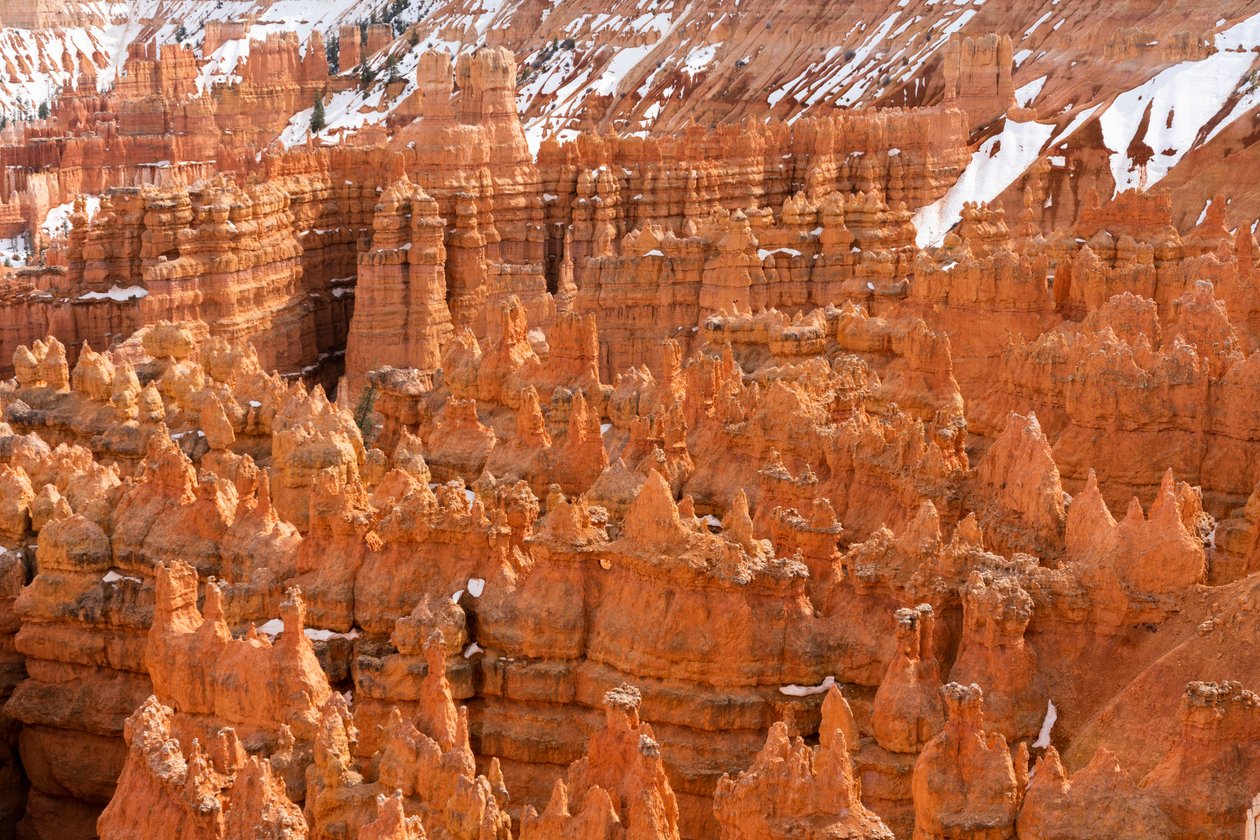Hoodoos - torenspitsen gecreëerd door erosie - in Bryce Canyon National Park in Utah, 2019 door Ira Block