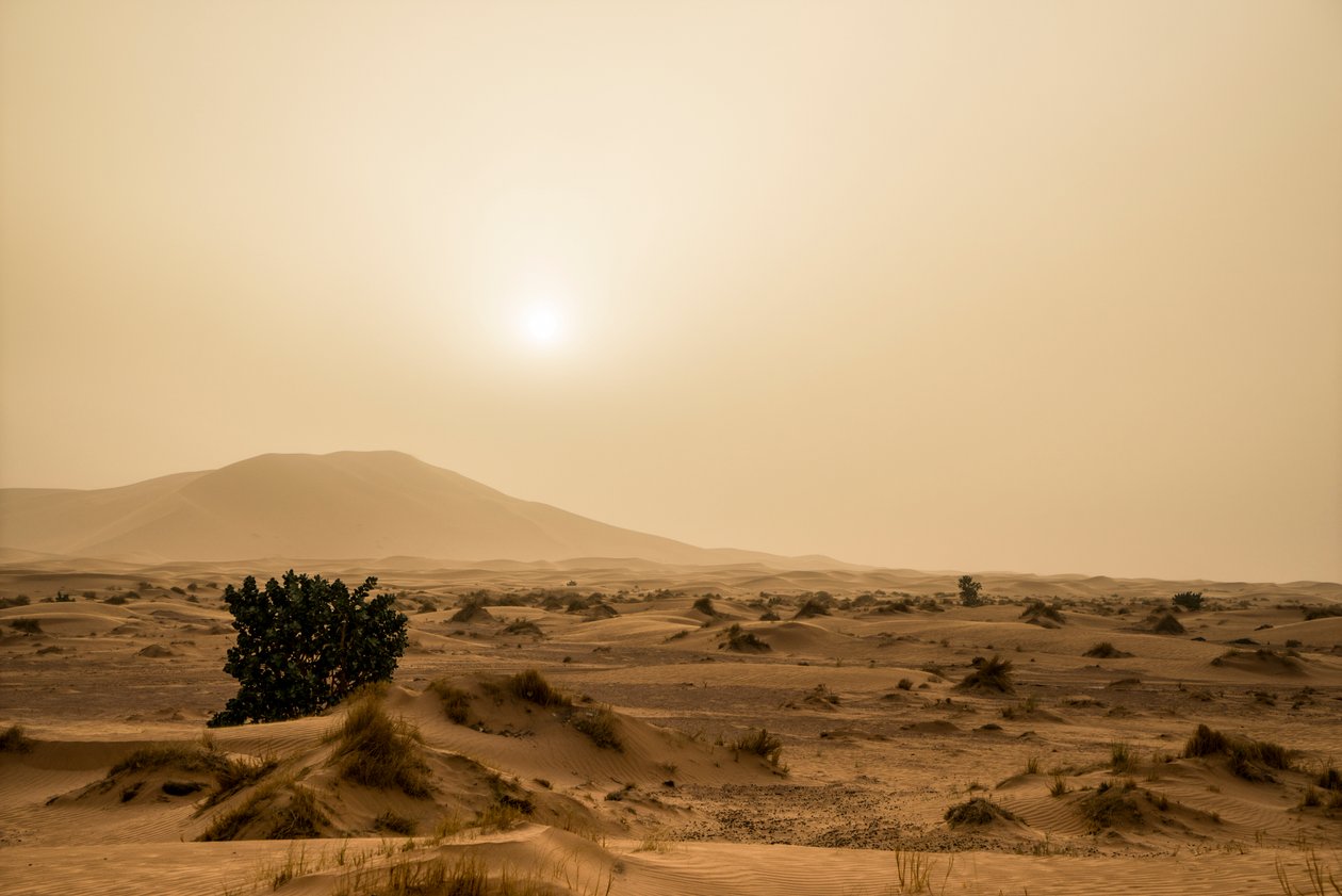 Zandduinen in de Erg Chebbi woestijn in het zuidoosten van Marokko door Ira Block