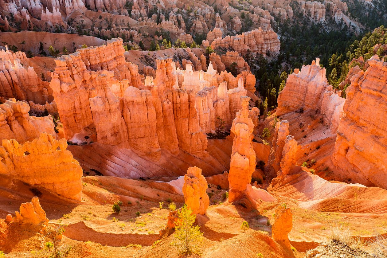 Zonsopgang op Hoodoos in Bryce Canyon National Park door Ira Block
