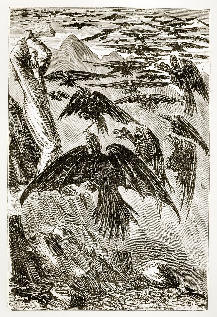 St. Patrick en de demonische vogels, uit The Trias Thaumaturga, of Three Wonder-Working Saints of Ireland, door Mary Cusack, gepubliceerd ca. 1890s door Irish School