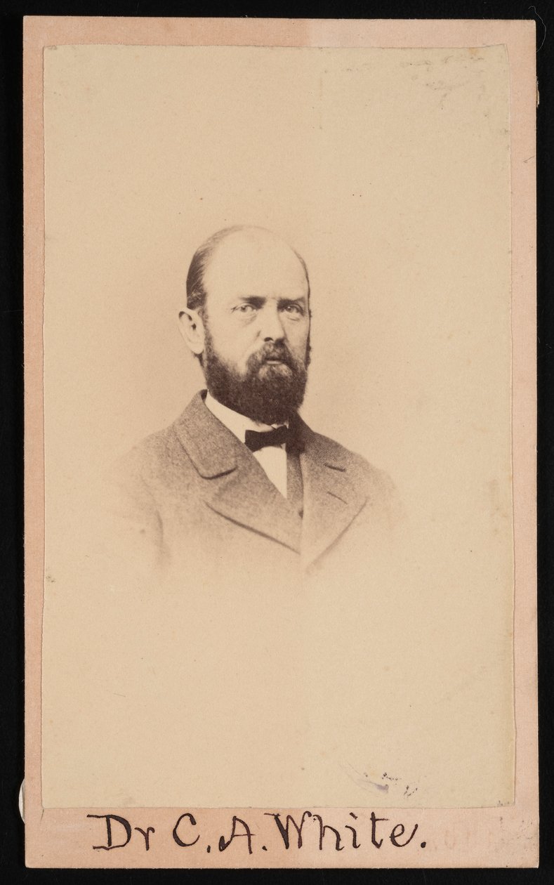 Portret van Charles Abiathar White 1826-1910, 1868 door Isaac Augustus Wetherby