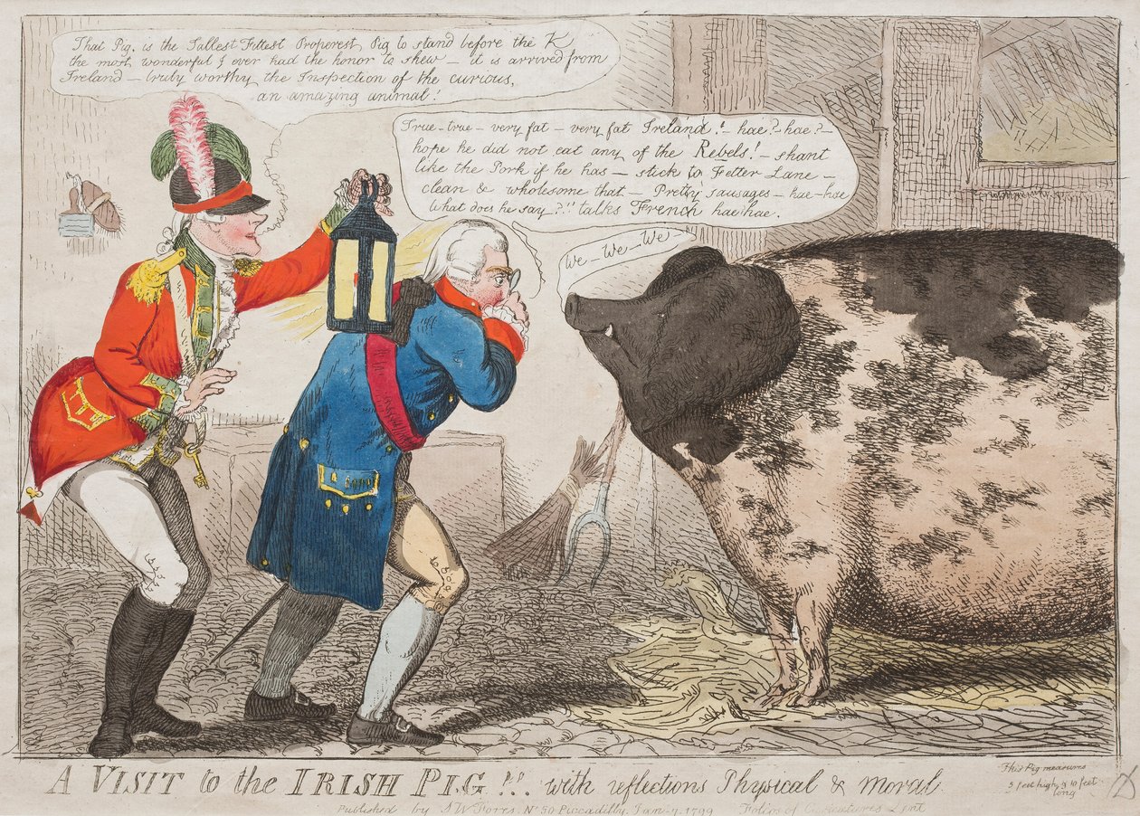 Een bezoek aan het Ierse varken!! Met fysieke en morele reflecties door Isaac Cruikshank