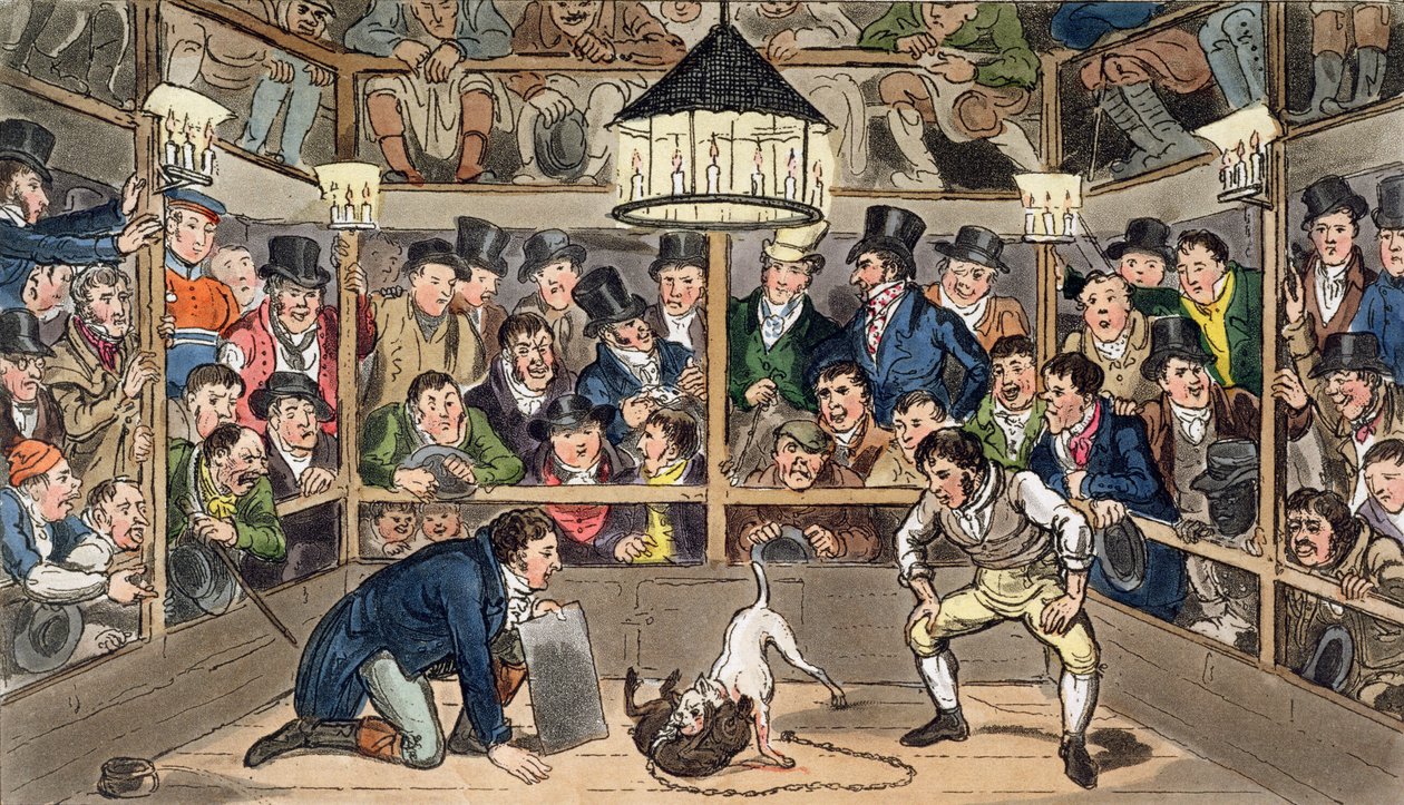 Tom en Jerry sporten hun stomp op het fenomeen Aap, Jacco Macacco, in de Westminster Pit, uit 