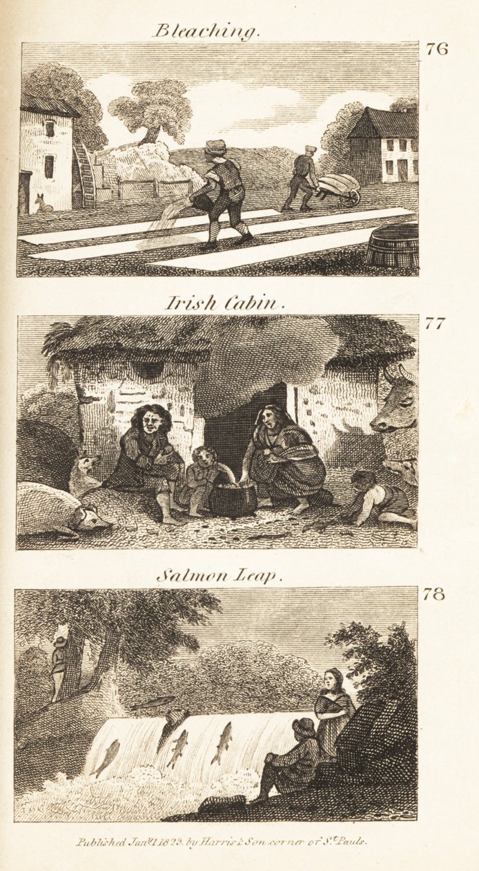 Ambachten in Regency Ierland: bleken, Ierse hut en zalmsprong door Isaac Taylor