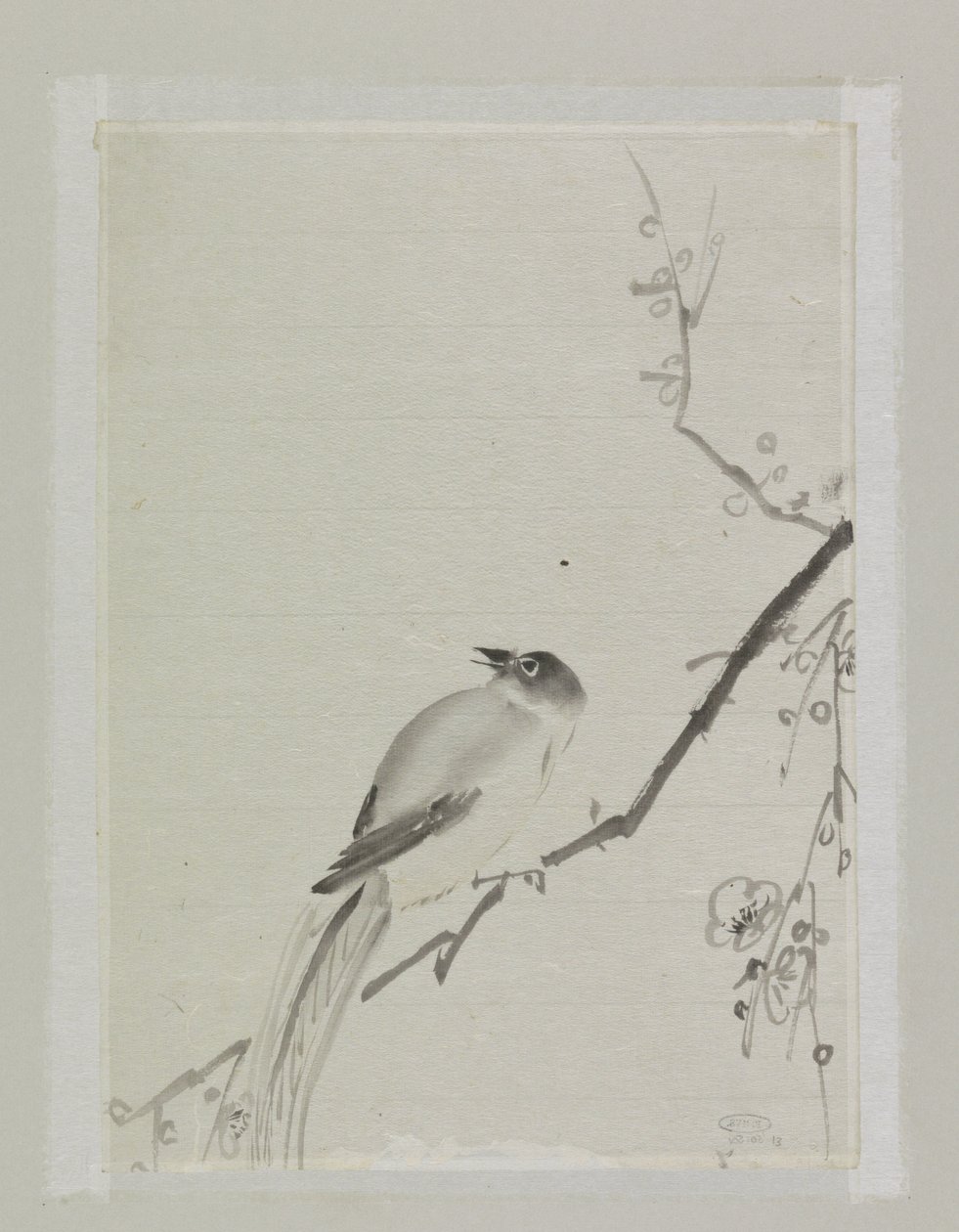 Vogel op een tak van een kersenboom door Ishikawa Kazan