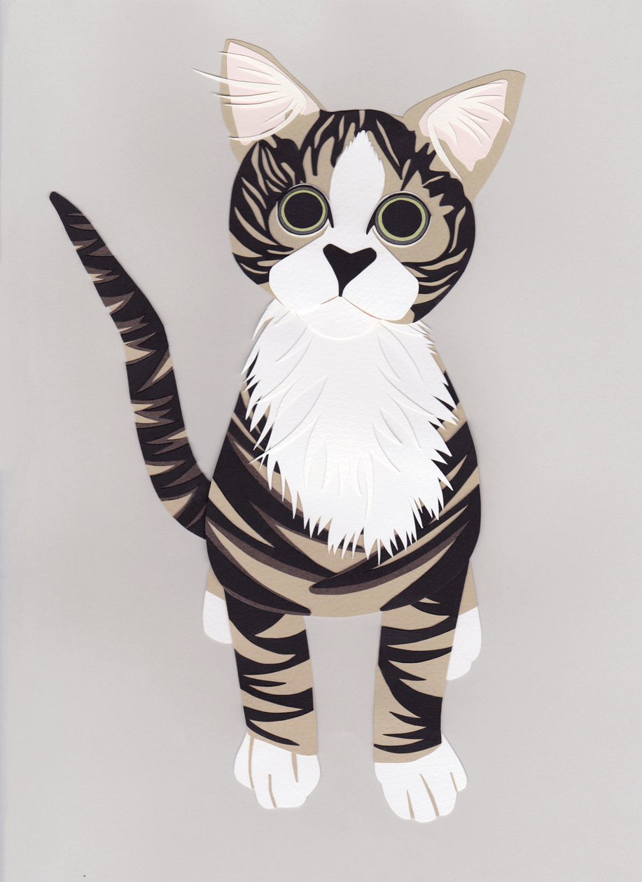 Pussycat, 2016 (papier) door Isobel Barber