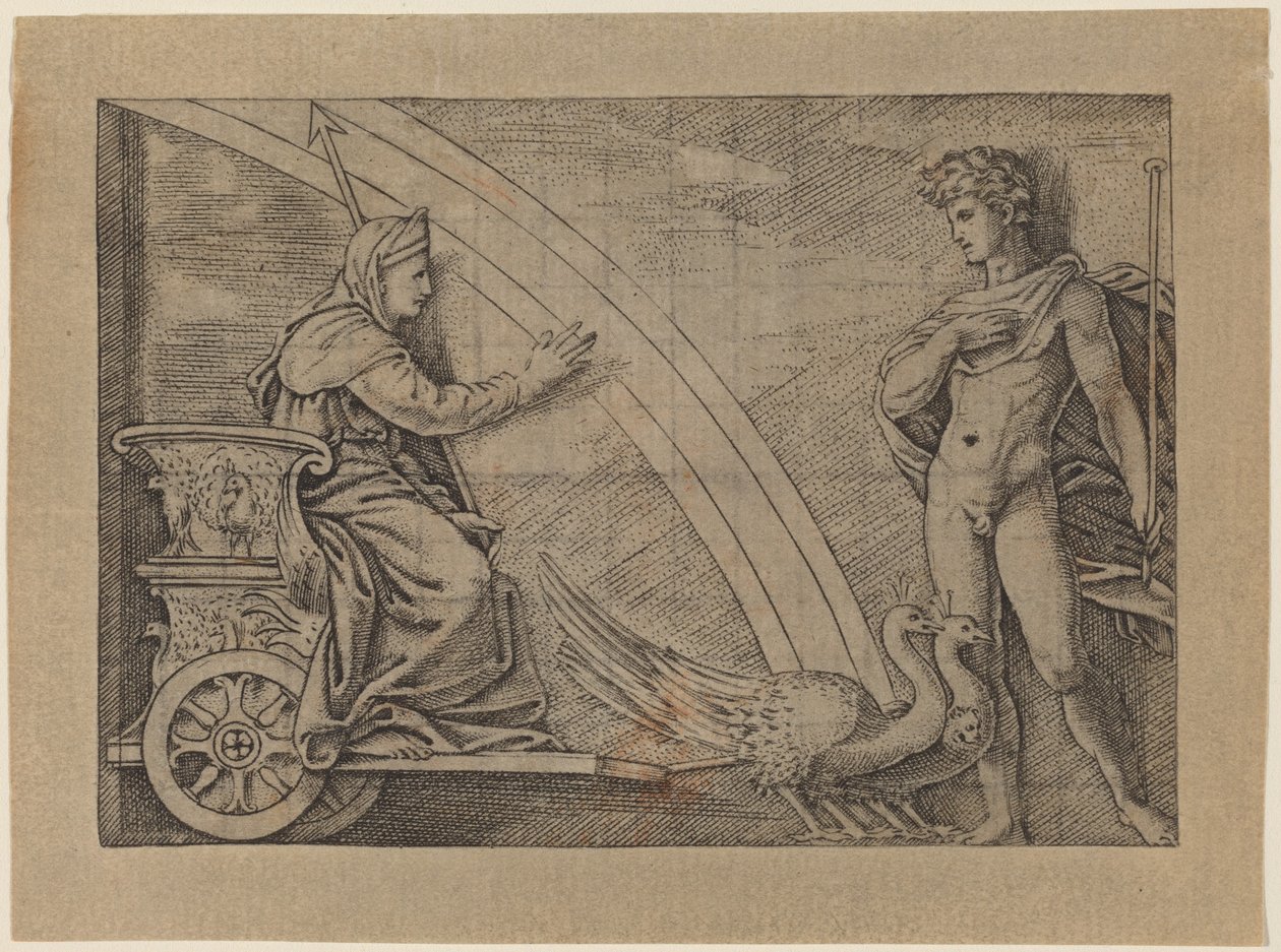 Juno in een Wagen Getrokken door Pauwen door Italian 16th Century