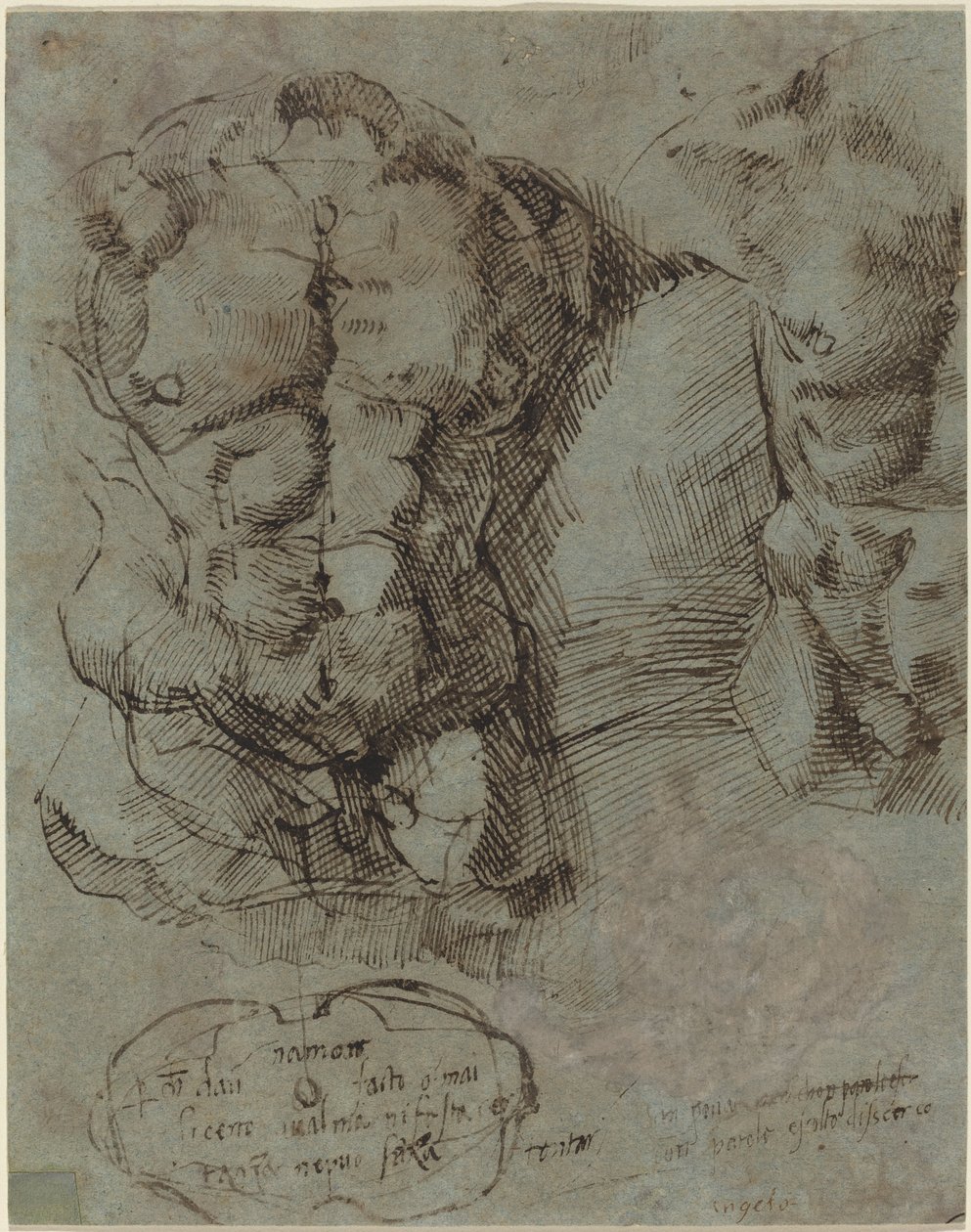 Studies van een Mannelijke Torso door Italian 16th Century