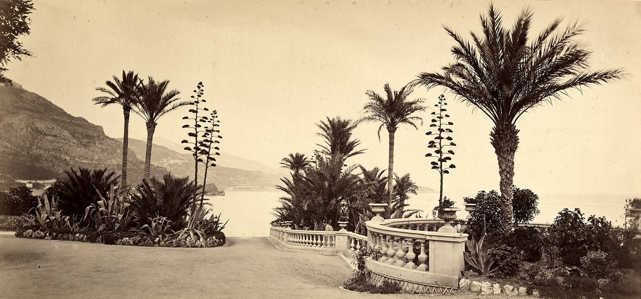 De tuin van het Casino van Montecarlo, in het Vorstendom Monaco door Italian Photographer