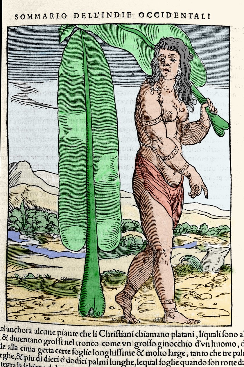 Een West-Indische inboorling staande bij een tabaksblad. Gravure uit het boek 