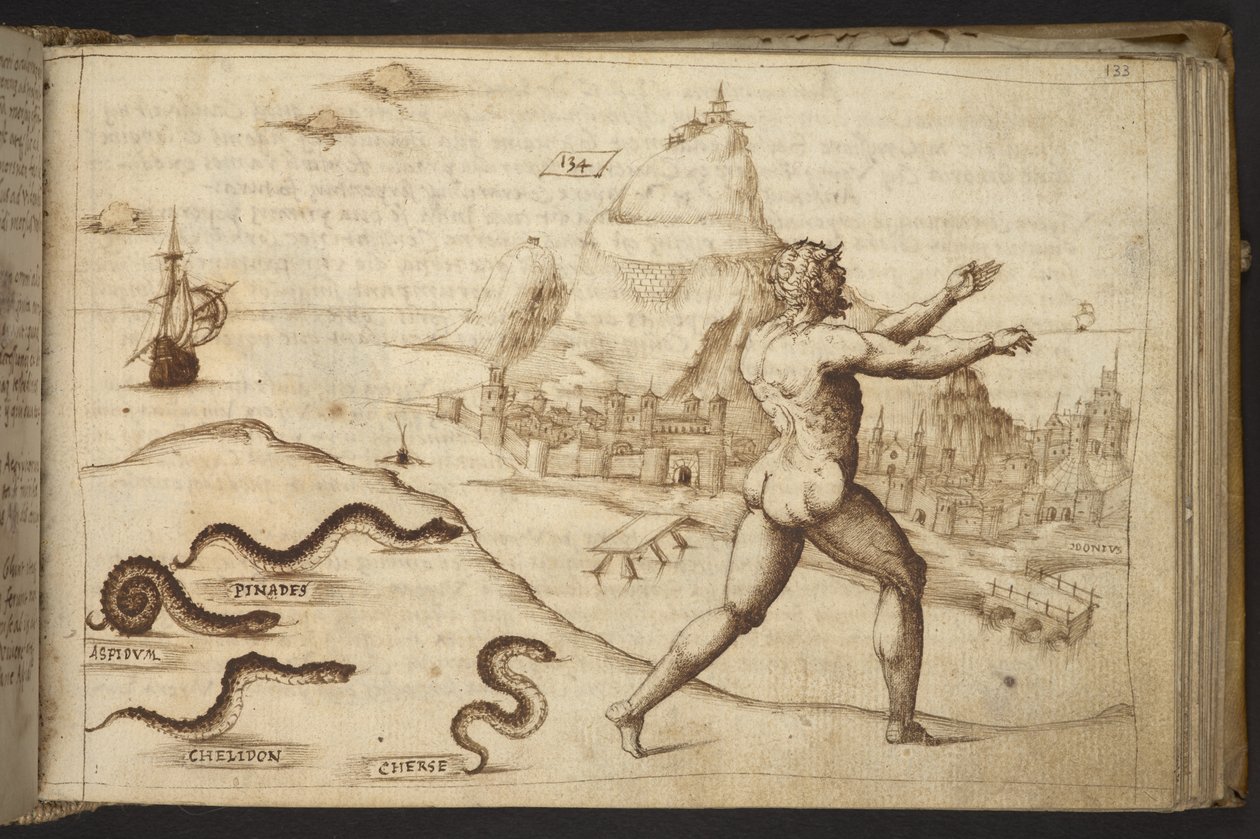 Slangen die een menselijke figuur achtervolgen, uit Historia Animalium door Italian School