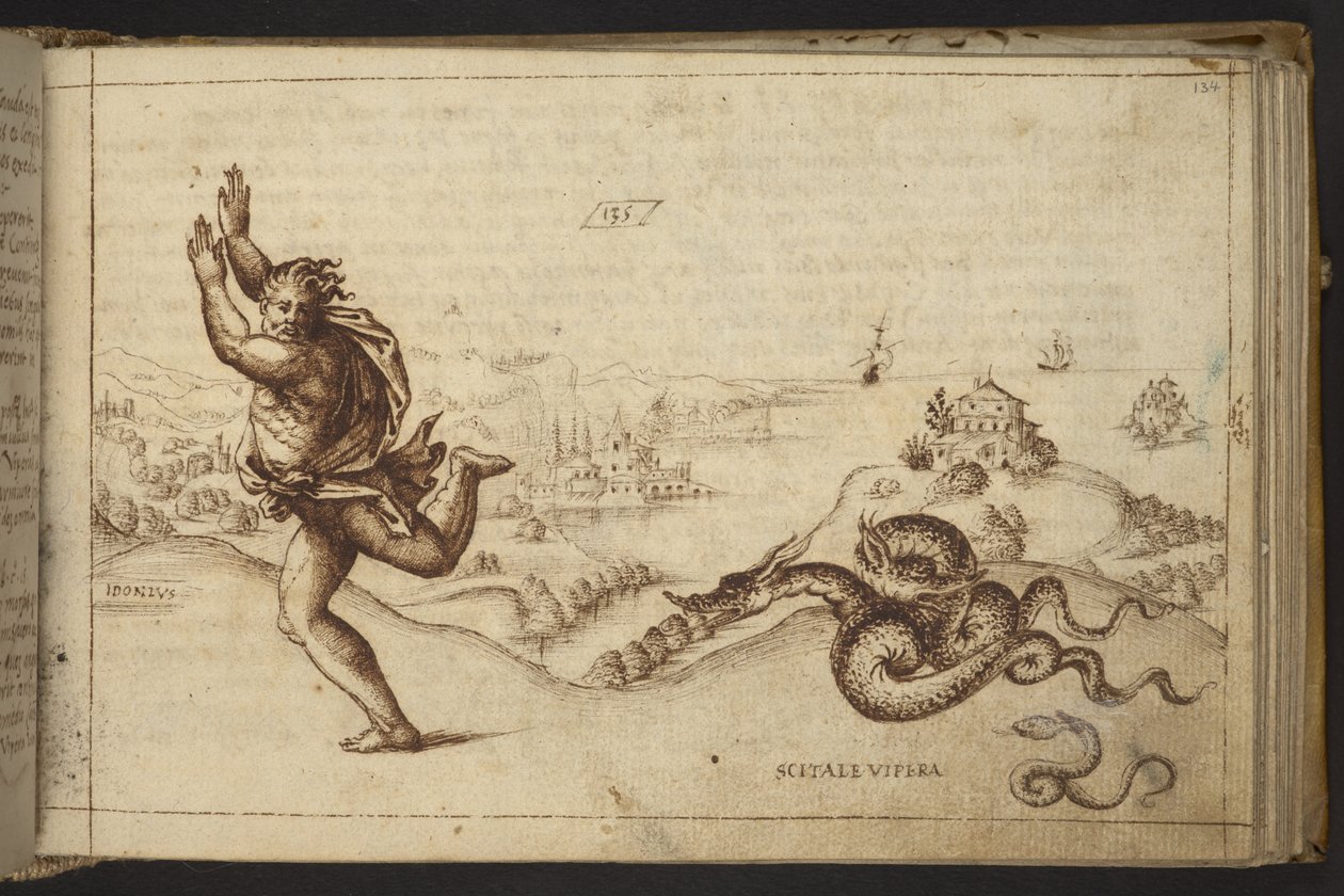 Menselijke figuur achtervolgd door slangen, uit Historia Animalium door Italian School