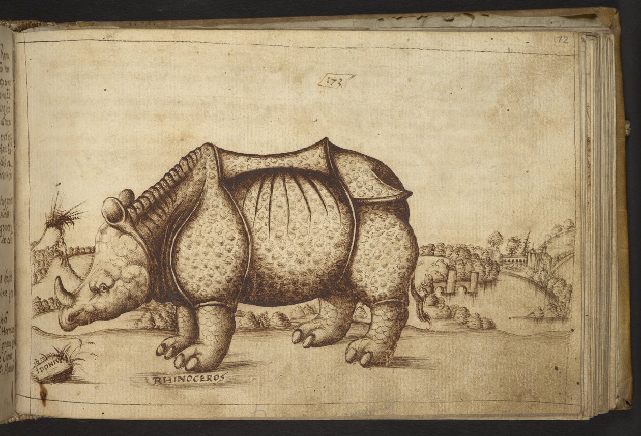 Neushoorn. uit Historia Animalium door Italian School