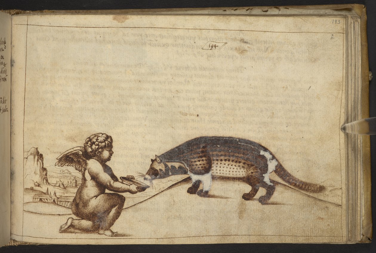 Cherub en een wezen, uit Historia Animalium door Italian School
