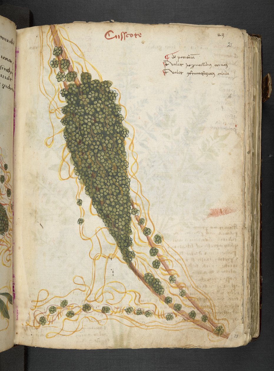 Add MS 41623 