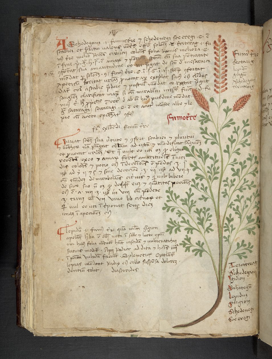 Add MS 41623 f.65v 