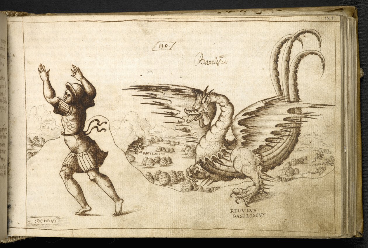 Draak uit 