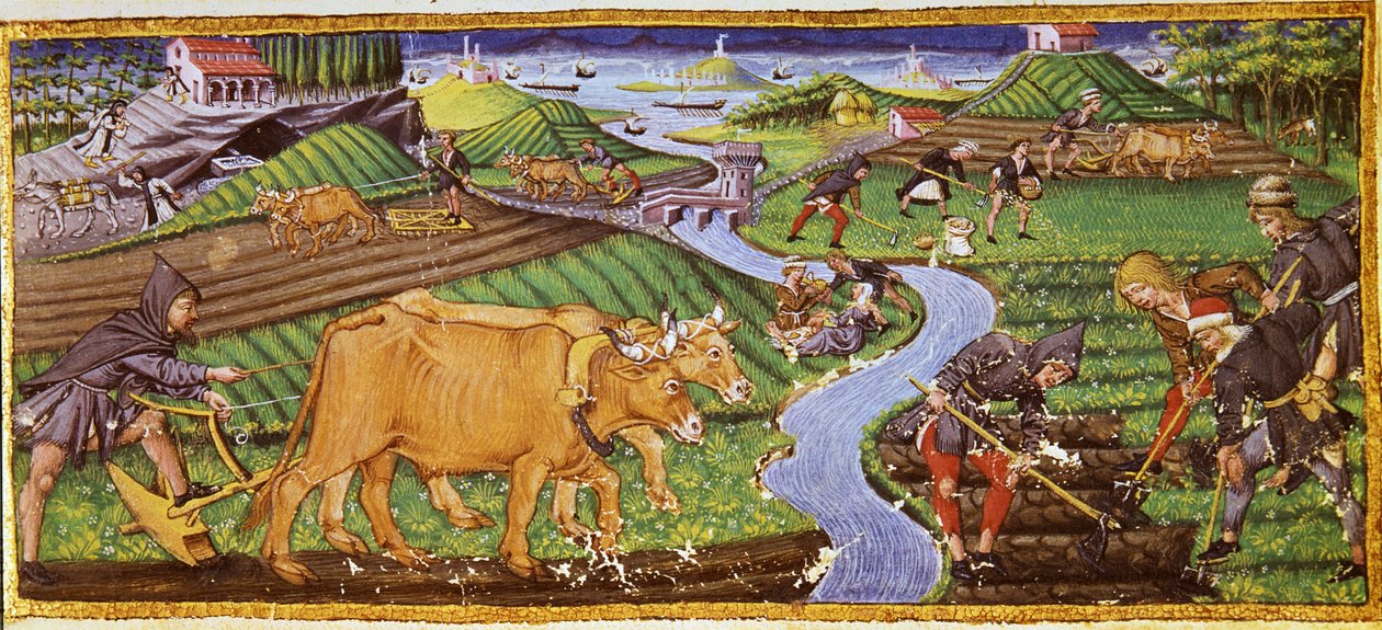 Landbouw aan het begin van de 15e eeuw. Biblioteca Ricciardiana, Florence door Italian School