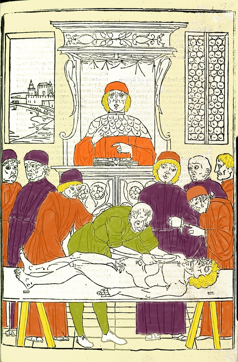 Anatomische dissectie. Gravure uit een Verhandeling over Geneeskunde door Gerolamo Cardano (Cardano) (Cardanus Hieronymus), Florence door Italian School