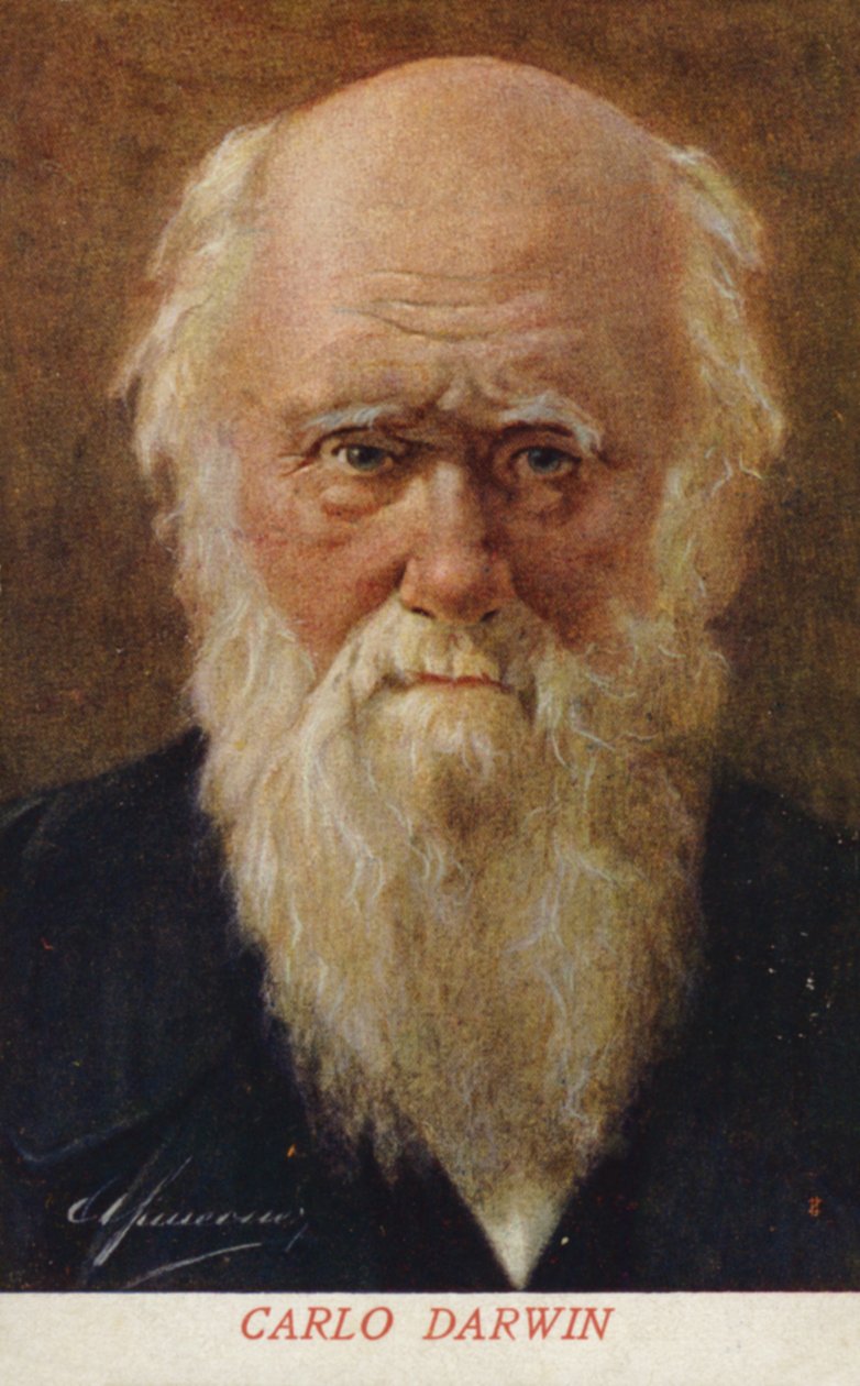 Charles Darwin (1809-1882), Engels natuuronderzoeker (kleurenlitho) door Italian School