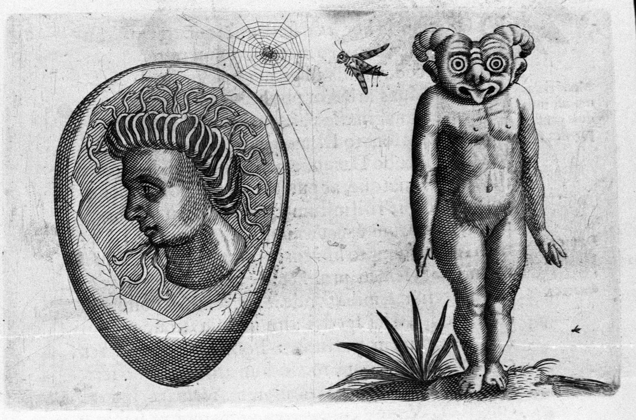 Verschillende soorten menselijke monsters: een fossiele man en een monster. Gravure uit 