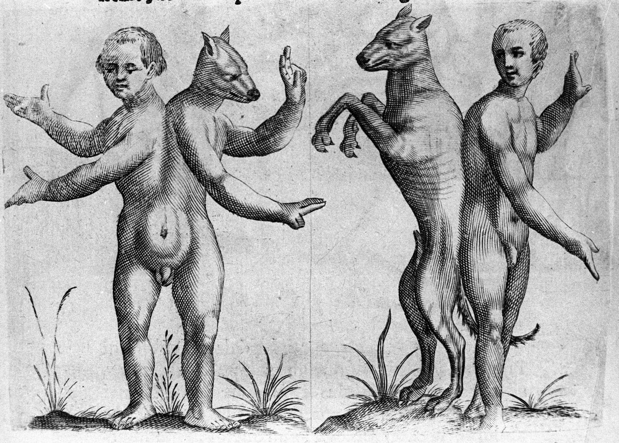 Verschillende soorten menselijke monsters: twee wezens met dubbele lichamen, half mens en hond (Siamese). Gravure uit 