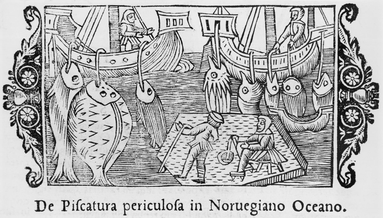 Vissen in de Noorse Oceaan, illustratie uit Historia de Gentibus Septentrionalibus door Olaus Magnus, uitgegeven Rome, 1555 door Italian School