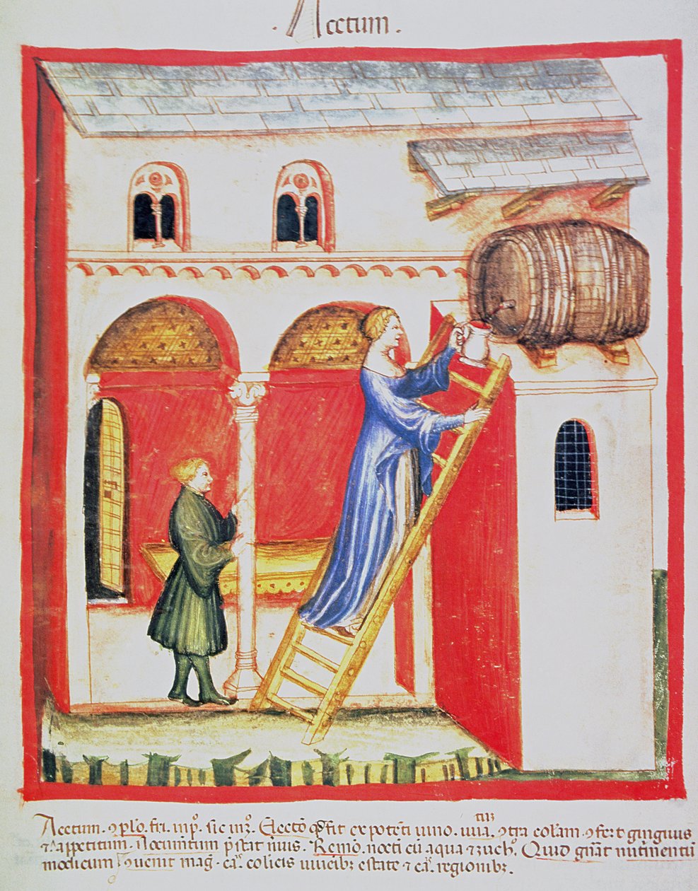 Azijn, illustratie uit Tacuinum Sanitatis Codex Vindobonensis door Italian School