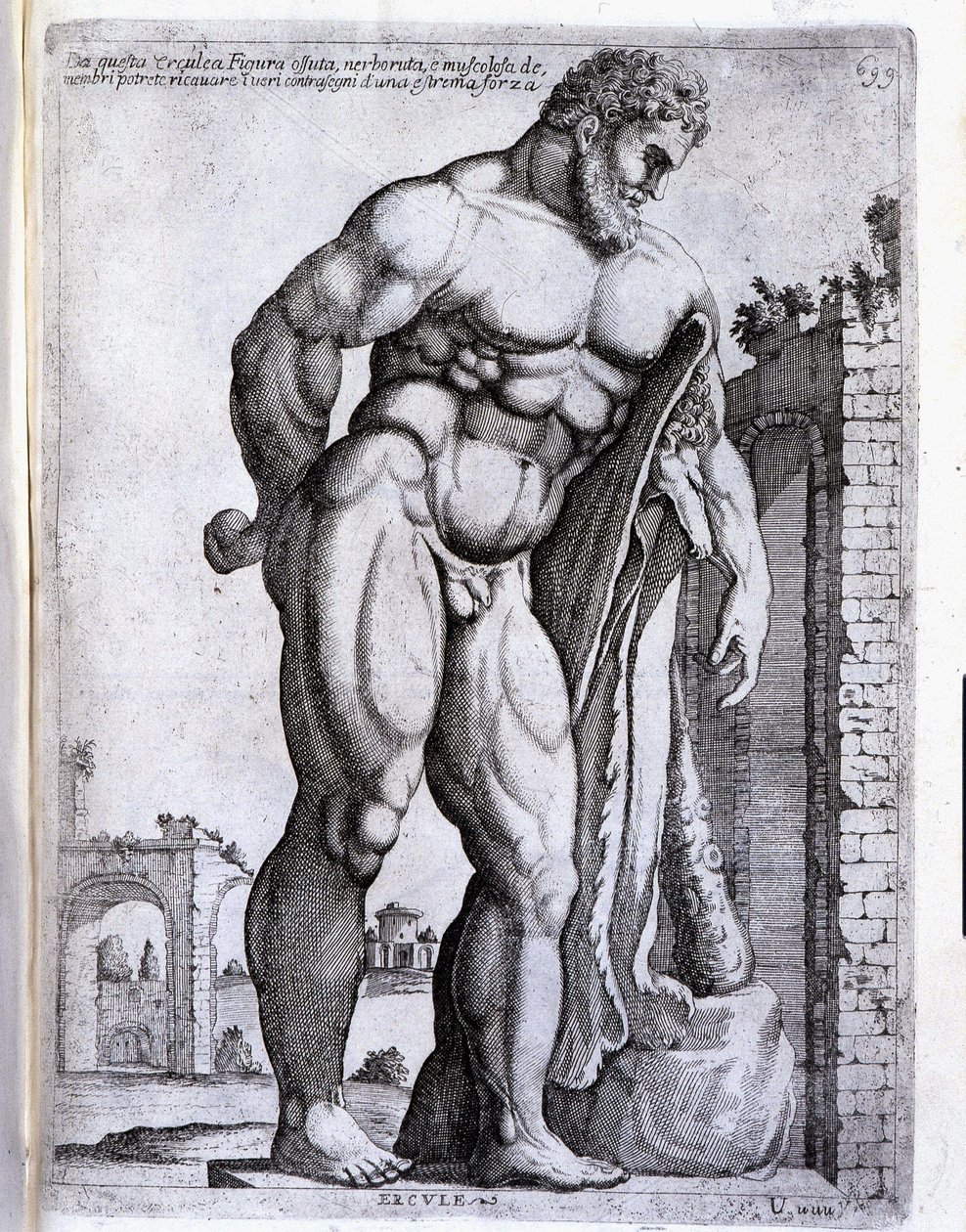 Hercules - in 