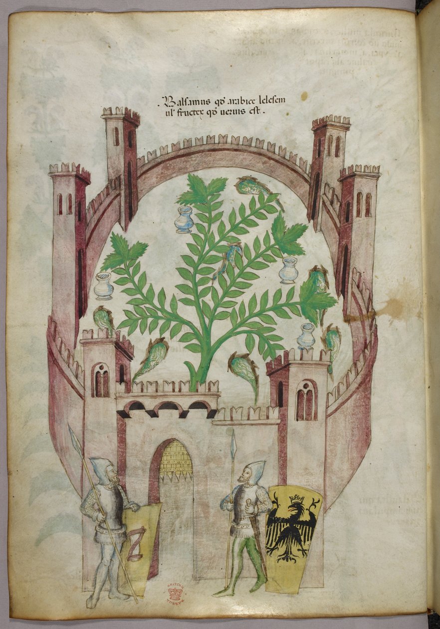 Illustratie van de balsemtuin van Caïro (Fustat), met zeven waterpoelen en kruiken om de balsem op te vangen, een plant in het midden, met twee ridders in harnas die de poort flankeren, met schilden met heraldische wapens, ca. 1440 (inkt  kleur op perkamen door Italian School