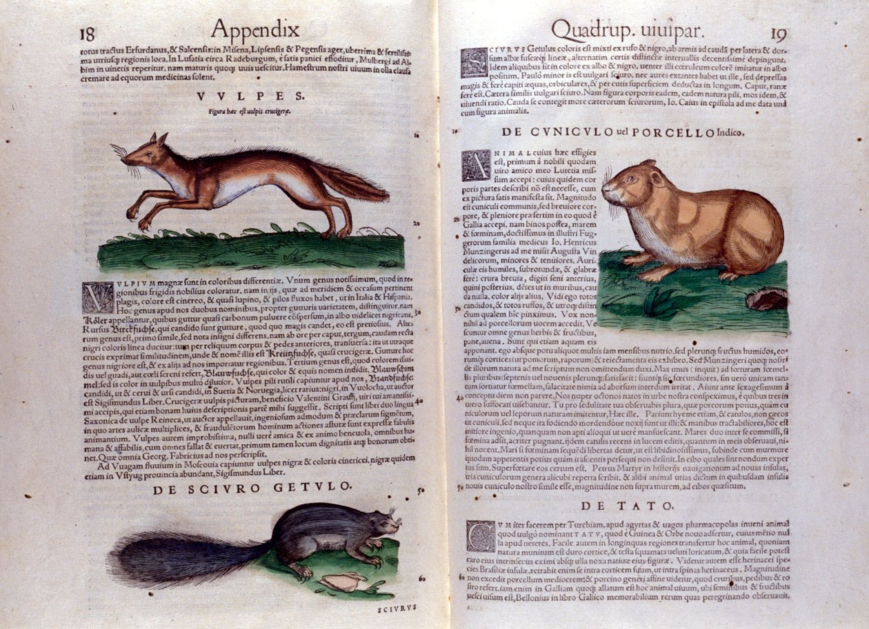 Illustraties uit 