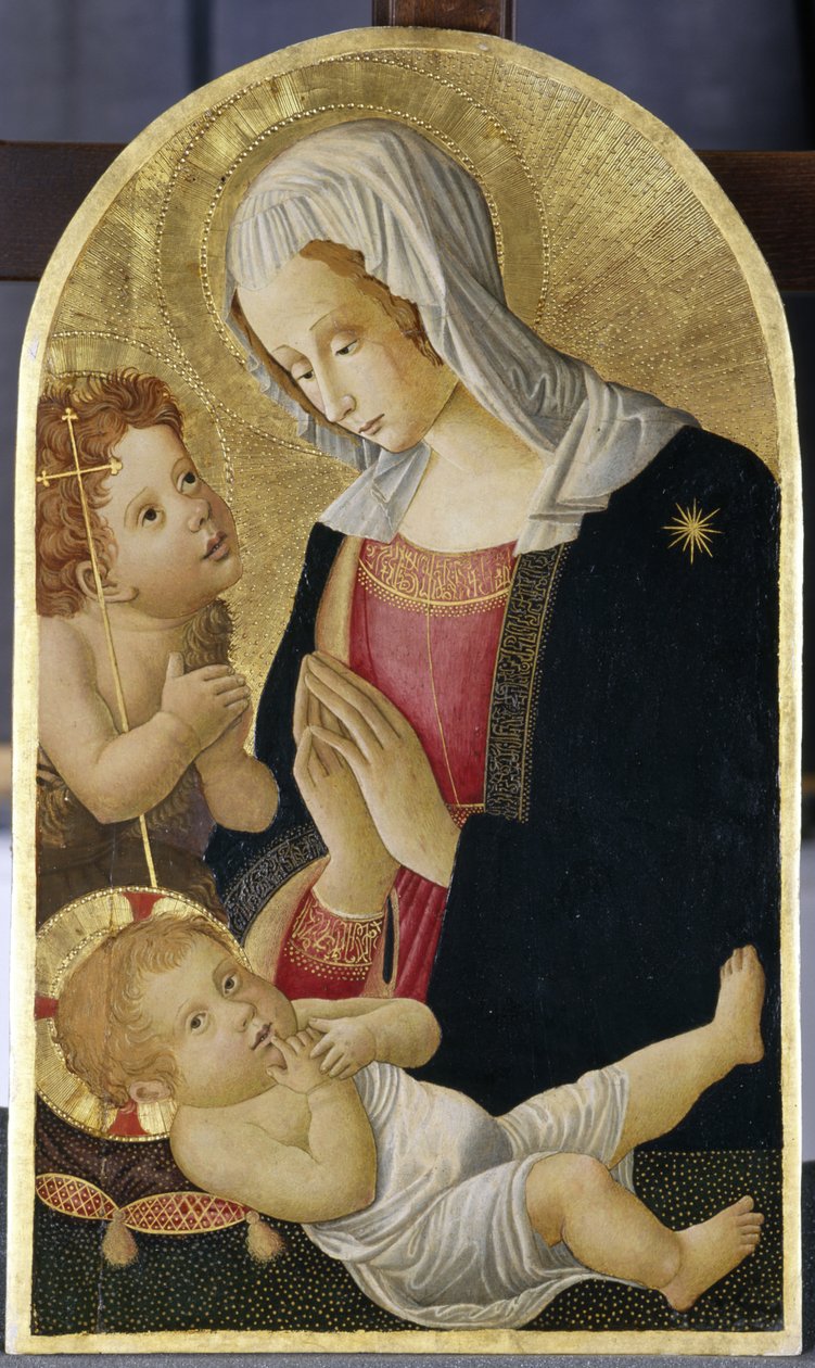 Madonna en Kind met Johannes de Doper, c.1460 door Italian School