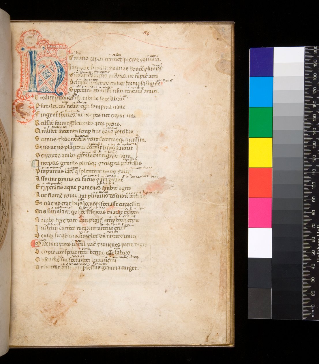 Ms 315. Horatius, Ars Poetica en Epistulae, f.1r. Versierde initiaal [N] in blauw en rood met ruitvormige vulling en omringend penwerk in rood door Italian School