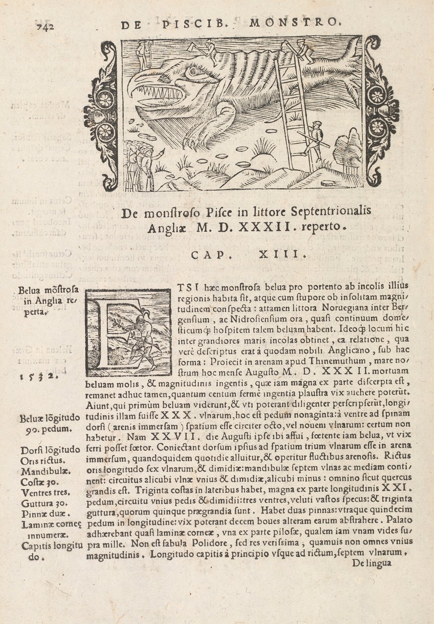 Pagina 742 uit Historia De Gentivus Septentrionalibus door Magnus Olaus, Rome 1565 door Italian School