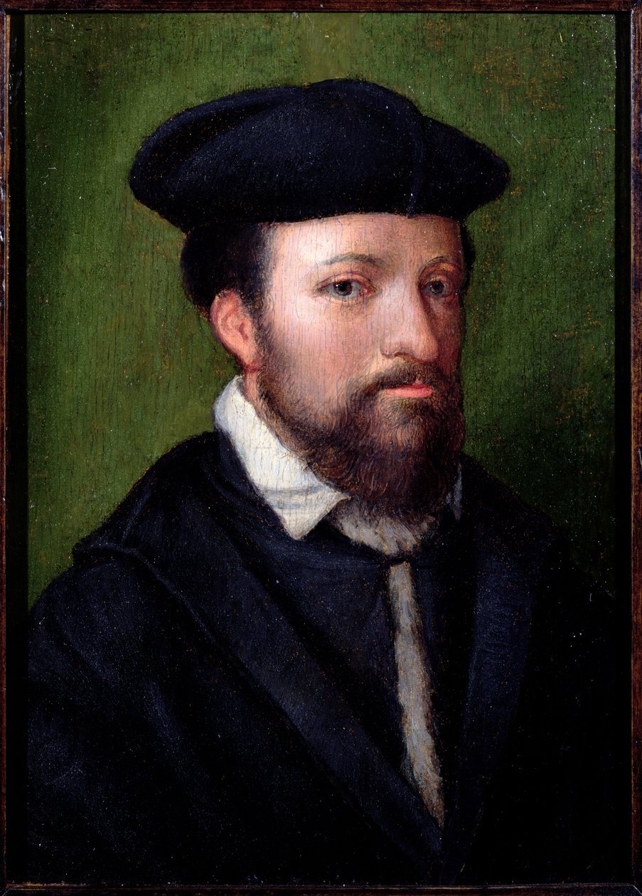 Portret van een Edelman, Noord-Italiaans, midden 16e eeuw door Italian School