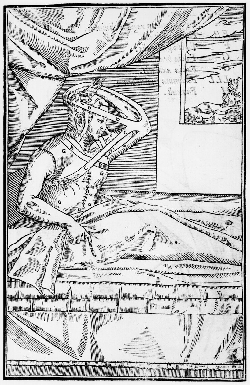 Reconstructieve neusoperatie, illustratie uit De curtorum chirurgia per insitionem door Gaspare Tagliacozzi (1545-99) Venetië, gepubliceerd 1597 door Italian School