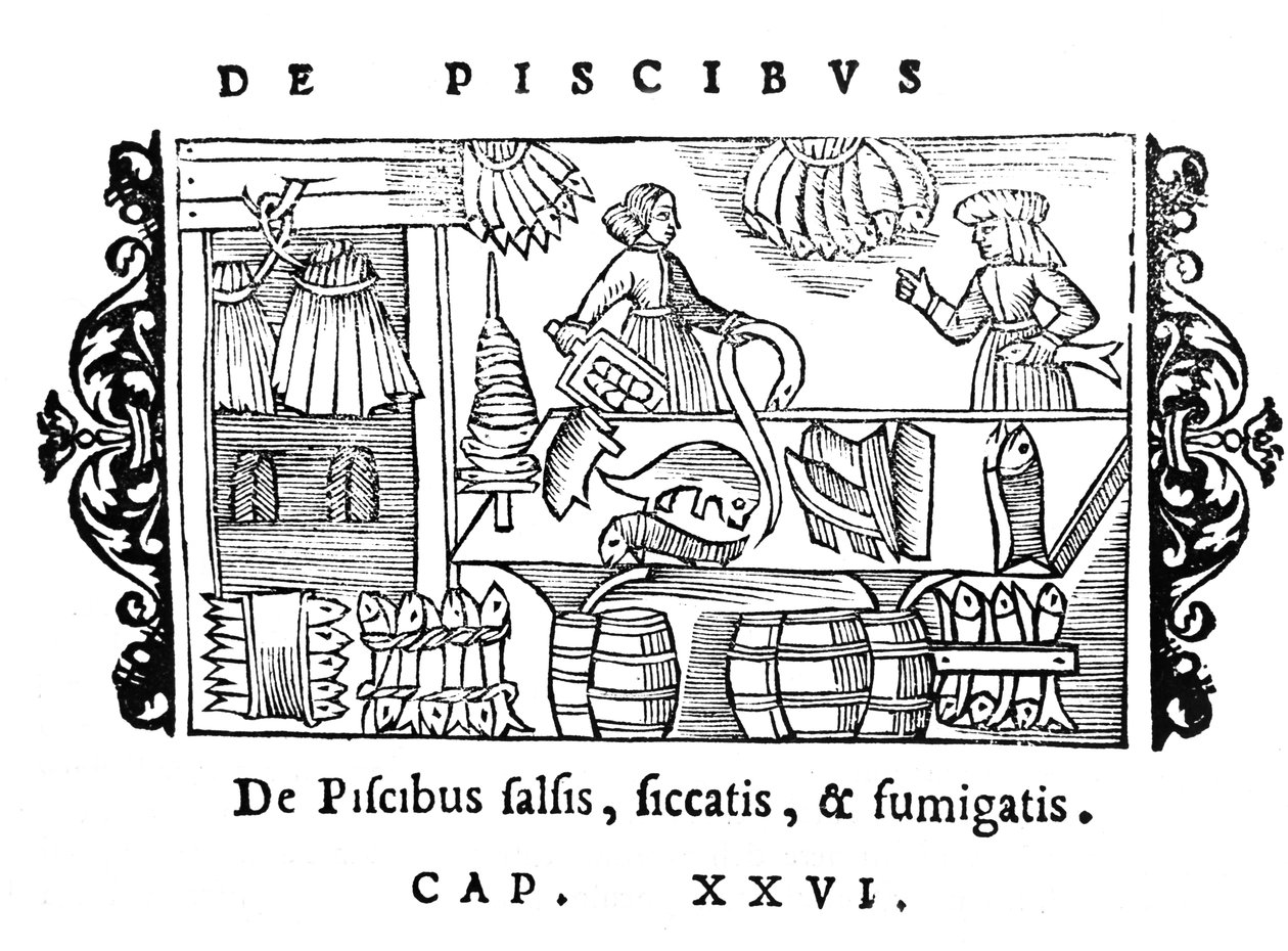 Zouten, drogen en roken van vis, illustratie uit Historia de Gentibus Septentrionalibus door Olaus Magnus (1490-1558), uitgegeven in Rome, 1555 door Italian School