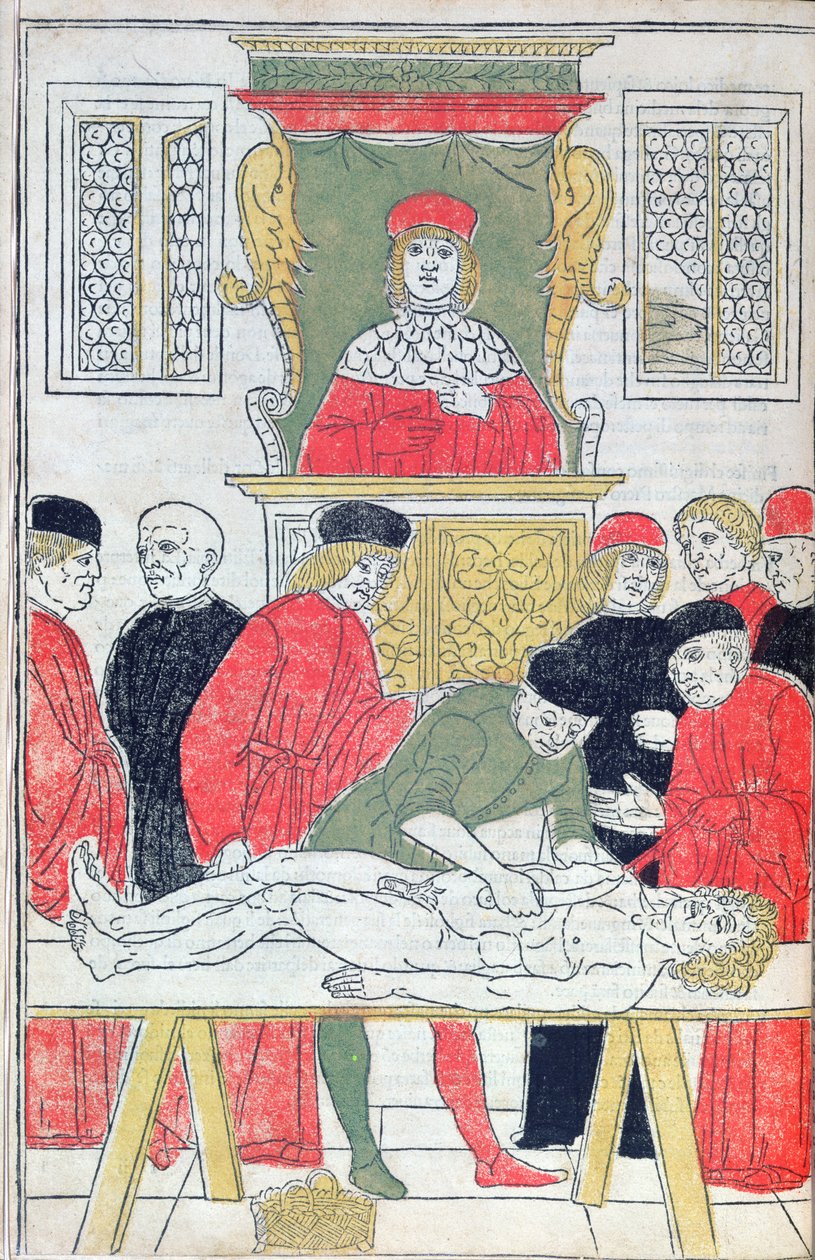 De Dissectie, illustratie uit 